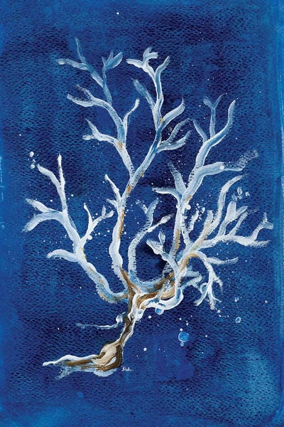 Coral: White Corals I by Patricia Pinto