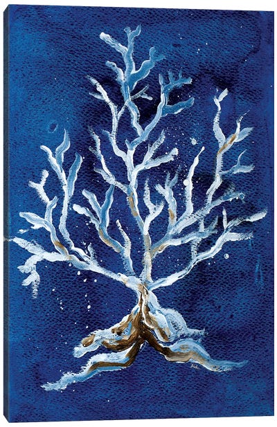 White Corals II Canvas Art Print - Coral Art