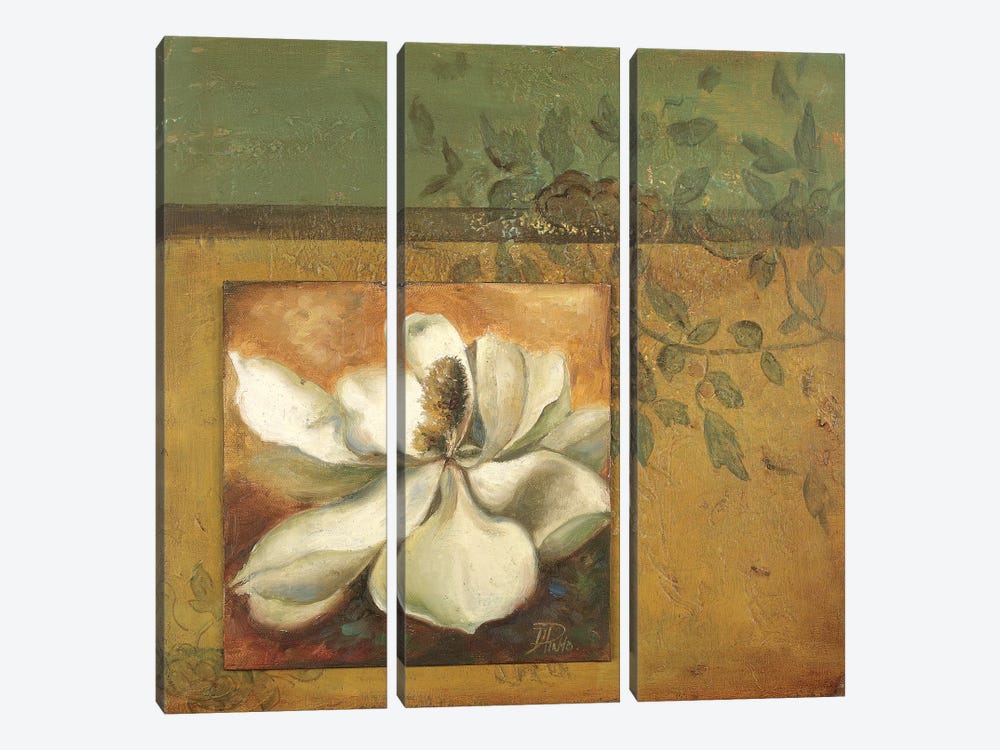 White Nature I by Patricia Pinto 3-piece Canvas Print