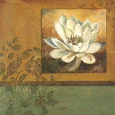 White Nature II by Patricia Pinto canvas print