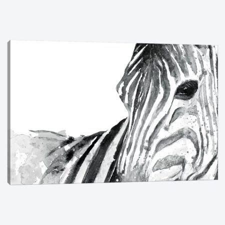 Zebra Gaze Canvas Print #PPI358} by Patricia Pinto Canvas Art