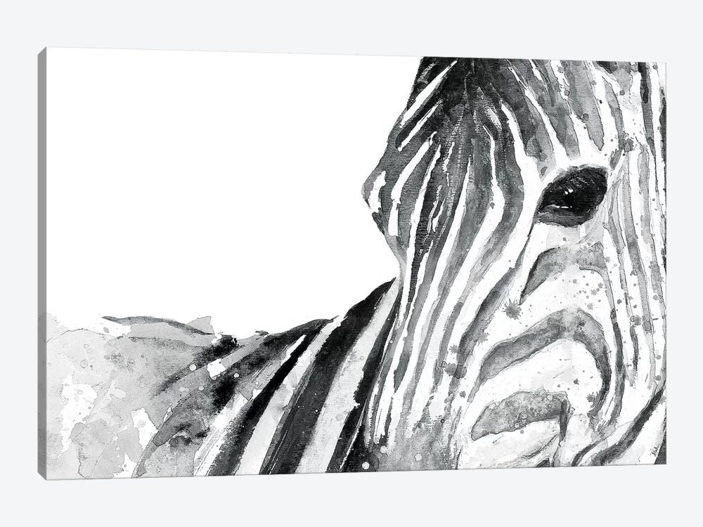 Zebra Gaze by Patricia Pinto 1-piece Canvas Wall Art
