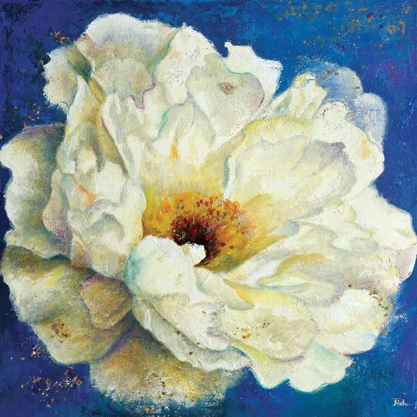 Peonies: Zuzu Peony I by Patricia Pinto