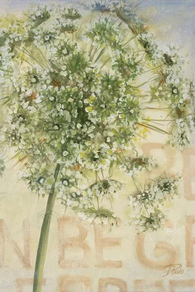 Alliums: Be Green I by Patricia Pinto