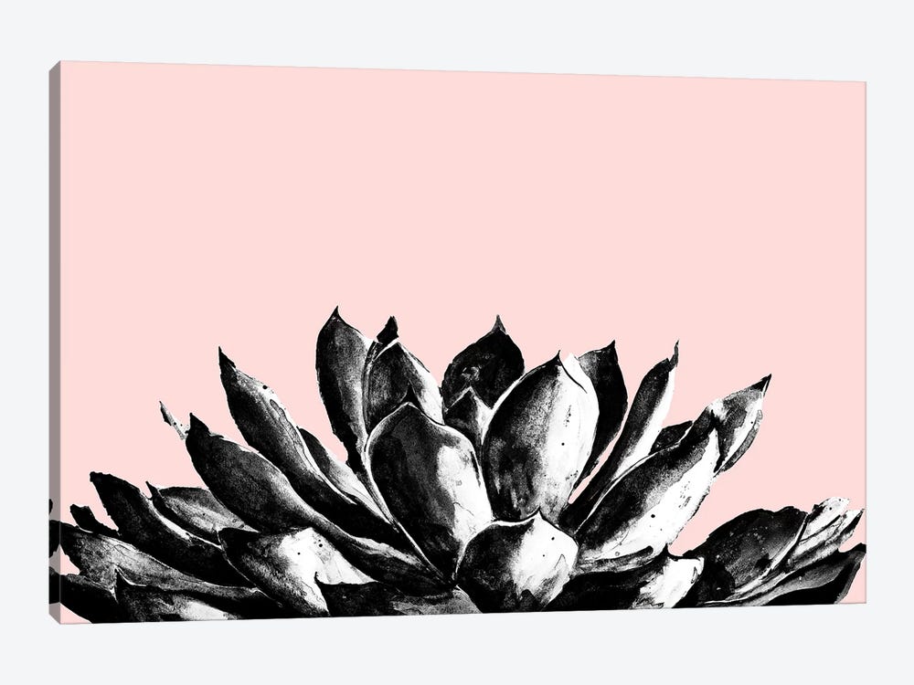 Agave On Blush by Patricia Pinto 1-piece Canvas Art
