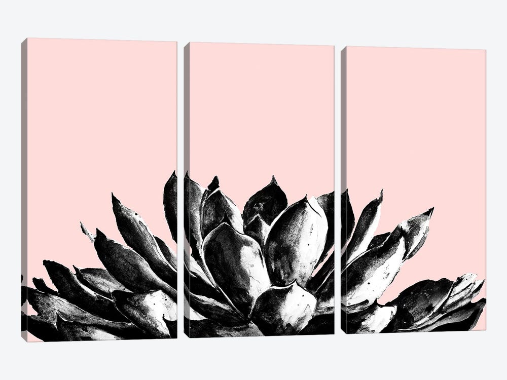 Agave On Blush by Patricia Pinto 3-piece Canvas Artwork