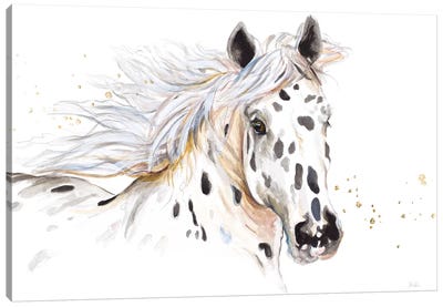 Appaloosa Canvas Art Print - Horse Art