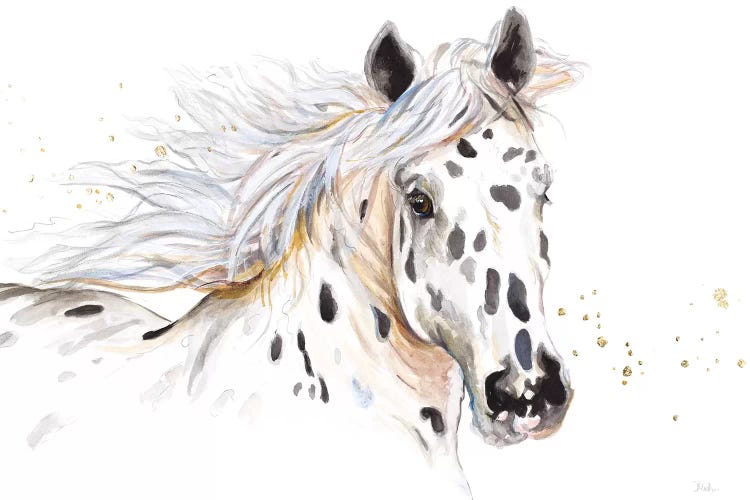 Appaloosa