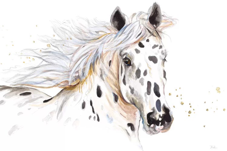 Appaloosa by Patricia Pinto wall art