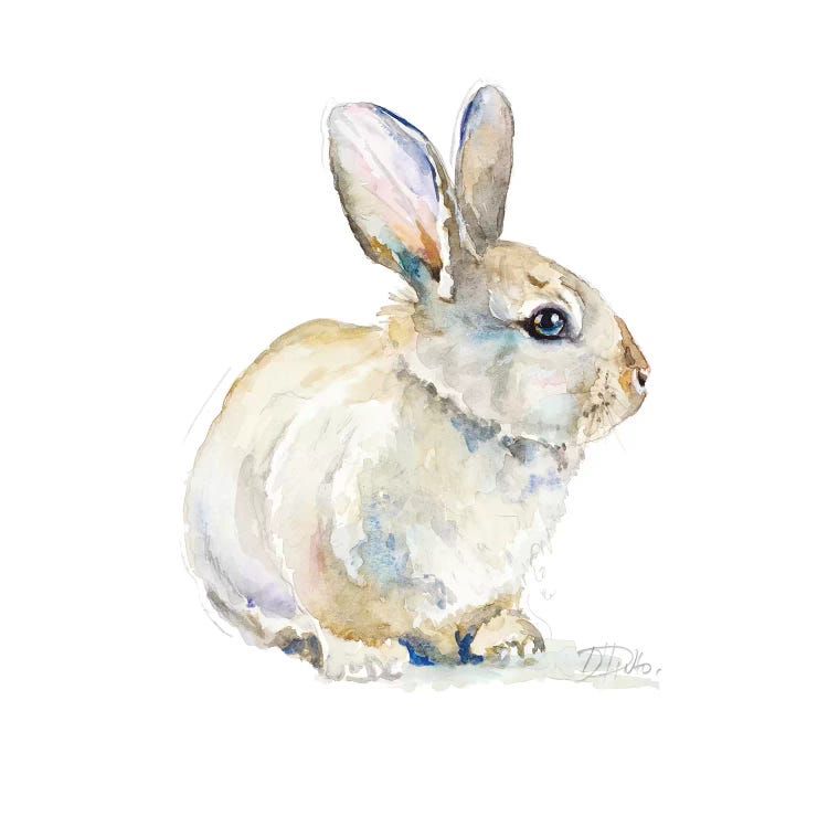 Baby Rabbit