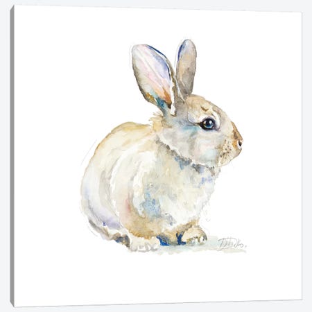 Baby Rabbit Canvas Print #PPI378} by Patricia Pinto Canvas Art