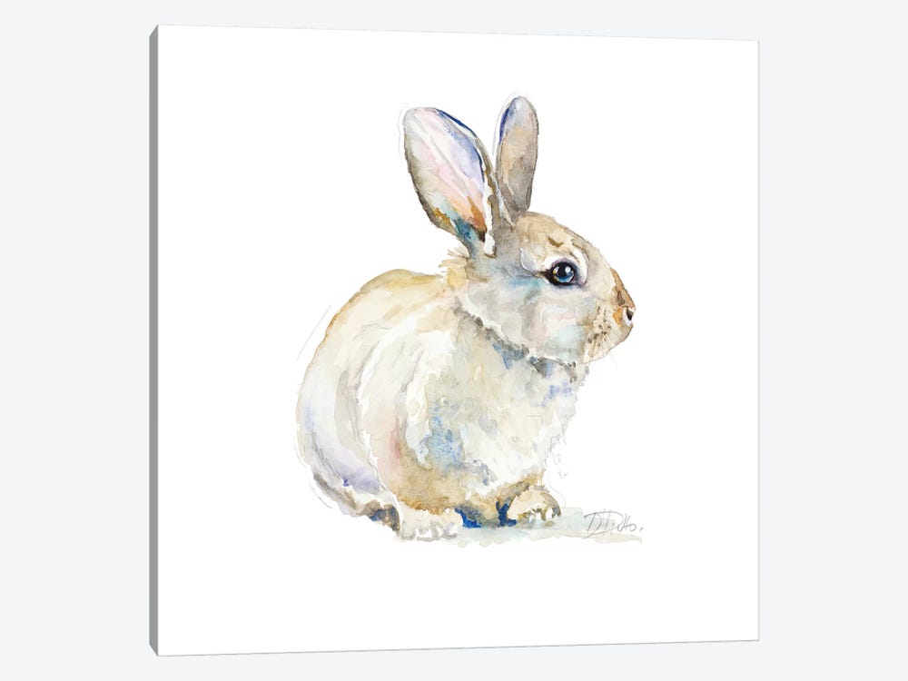 Baby Rabbit by Patricia Pinto 1-piece Canvas Wall Art