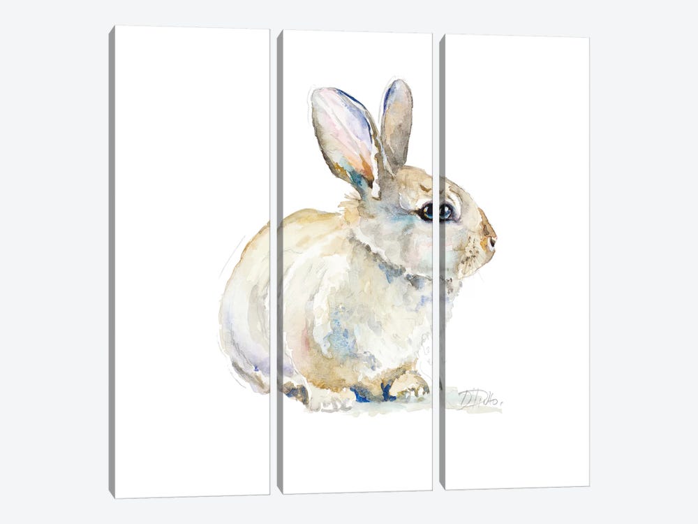 Baby Rabbit by Patricia Pinto 3-piece Canvas Artwork
