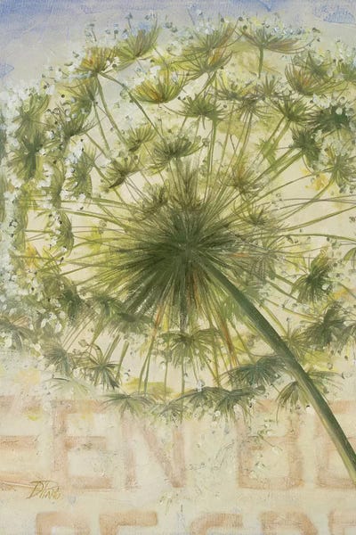 Alliums: Be Green II by Patricia Pinto