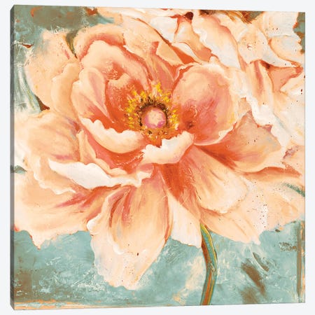 Beautiful Peonies Square I Canvas Print #PPI384} by Patricia Pinto Canvas Artwork