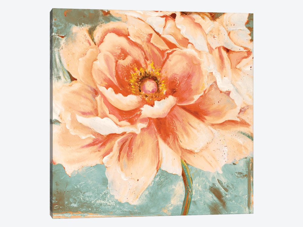 Beautiful Peonies Square I by Patricia Pinto 1-piece Canvas Art Print