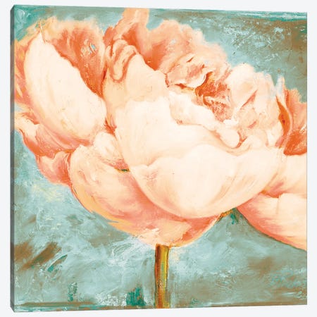 Beautiful Peonies Square II Canvas Print #PPI385} by Patricia Pinto Canvas Art