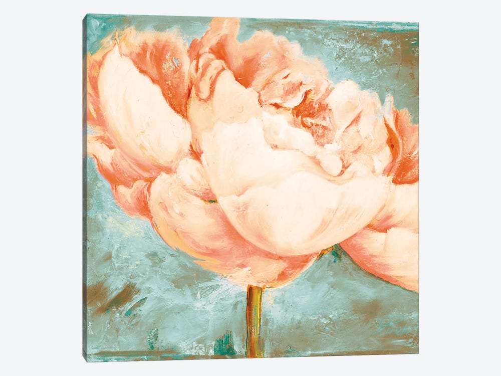 Beautiful Peonies Square II by Patricia Pinto 1-piece Canvas Artwork