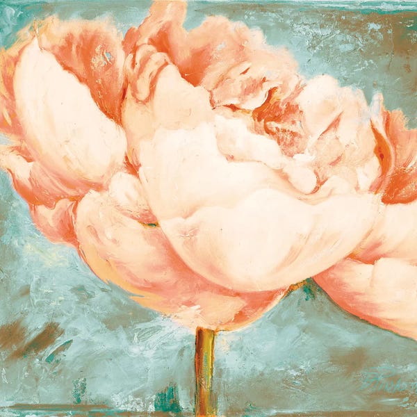 Peonies: Beautiful Peonies Square II by Patricia Pinto