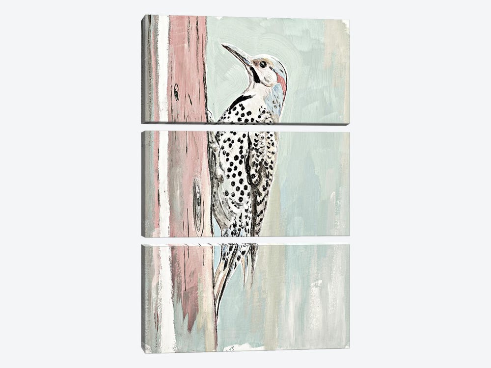 Beige Woodpecker II by Patricia Pinto 3-piece Canvas Artwork