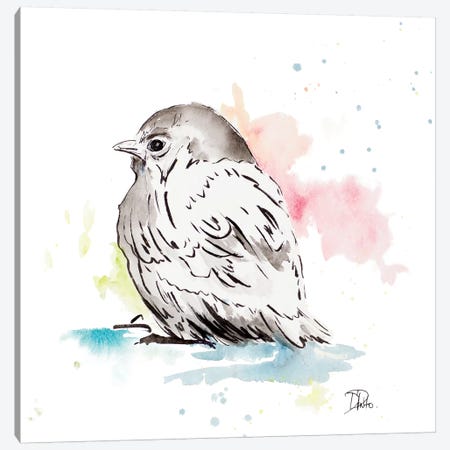 Bird Sketch I Canvas Print #PPI389} by Patricia Pinto Canvas Art Print