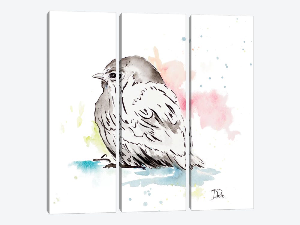Bird Sketch I by Patricia Pinto 3-piece Canvas Art