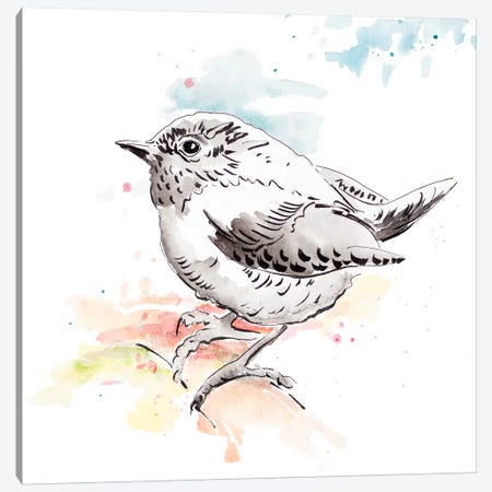 Bird Sketch II Canvas Print #PPI390} by Patricia Pinto Canvas Wall Art