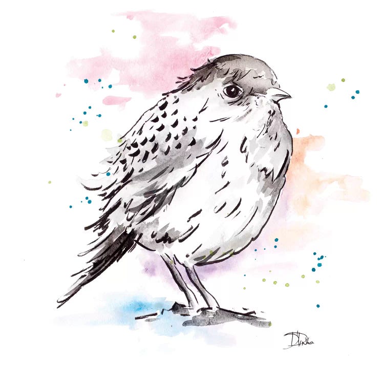 Bird Sketch III