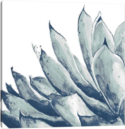Blue Agave On White I Canvas Art Print - Patricia Pinto