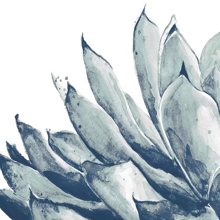 Blue Agave On White I