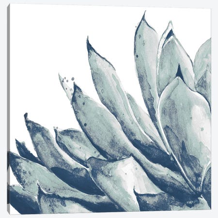 Blue Agave On White I Canvas Print #PPI394} by Patricia Pinto Canvas Art Print