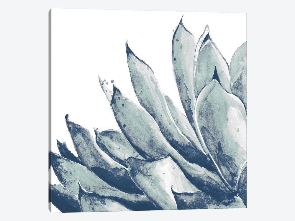Blue Agave On White I by Patricia Pinto 1-piece Canvas Artwork