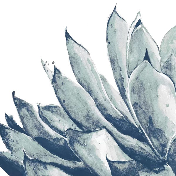 Blue Agave On White I