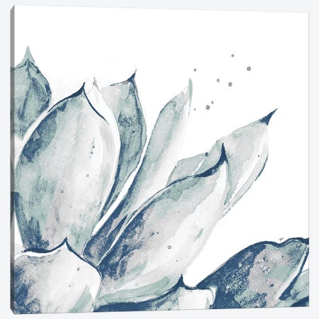 Blue Agave On White II Canvas Print #PPI395} by Patricia Pinto Art Print