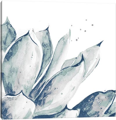 Blue Agave On White II Canvas Art Print - Patricia Pinto