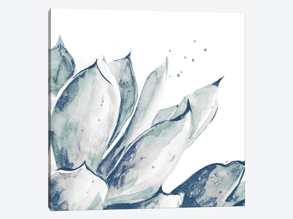 Blue Agave On White II by Patricia Pinto 1-piece Canvas Print