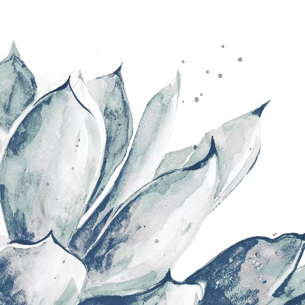 Patricia Pinto: Blue Agave On White II by Patricia Pinto