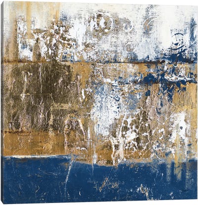 Blue Contemporaneo Canvas Art Print - Patricia Pinto