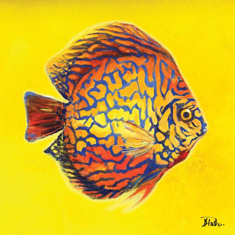 Bright Aquatic Life I by Patricia Pinto wall art