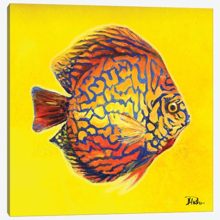 Bright Aquatic Life I Canvas Print #PPI401} by Patricia Pinto Canvas Artwork