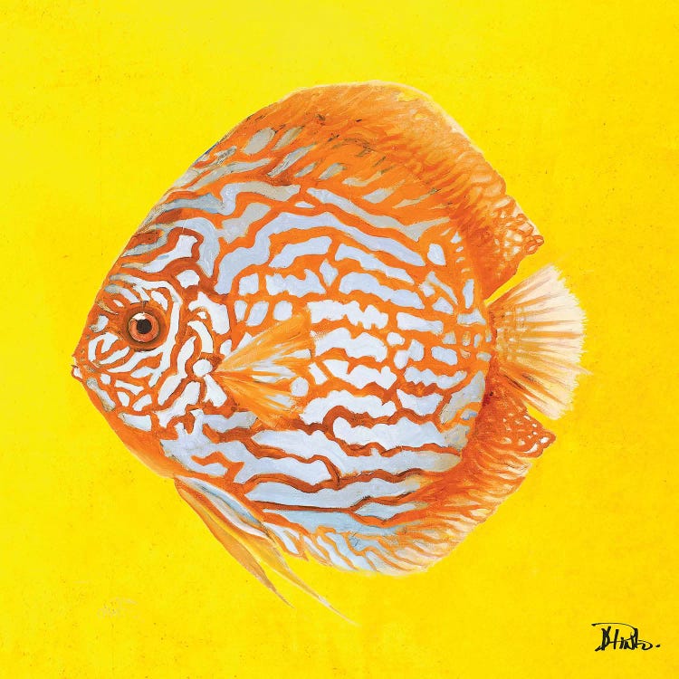 Bright Aquatic Life IV by Patricia Pinto wall art