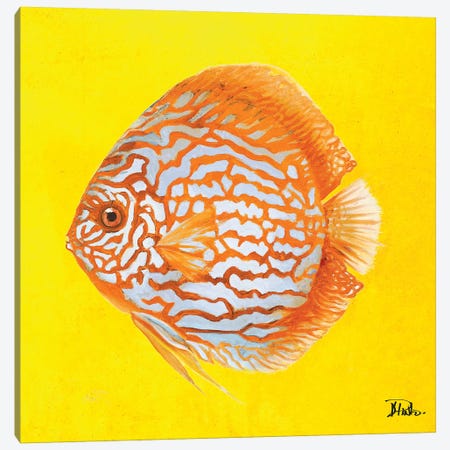 Bright Aquatic Life IV Canvas Print #PPI404} by Patricia Pinto Canvas Art Print