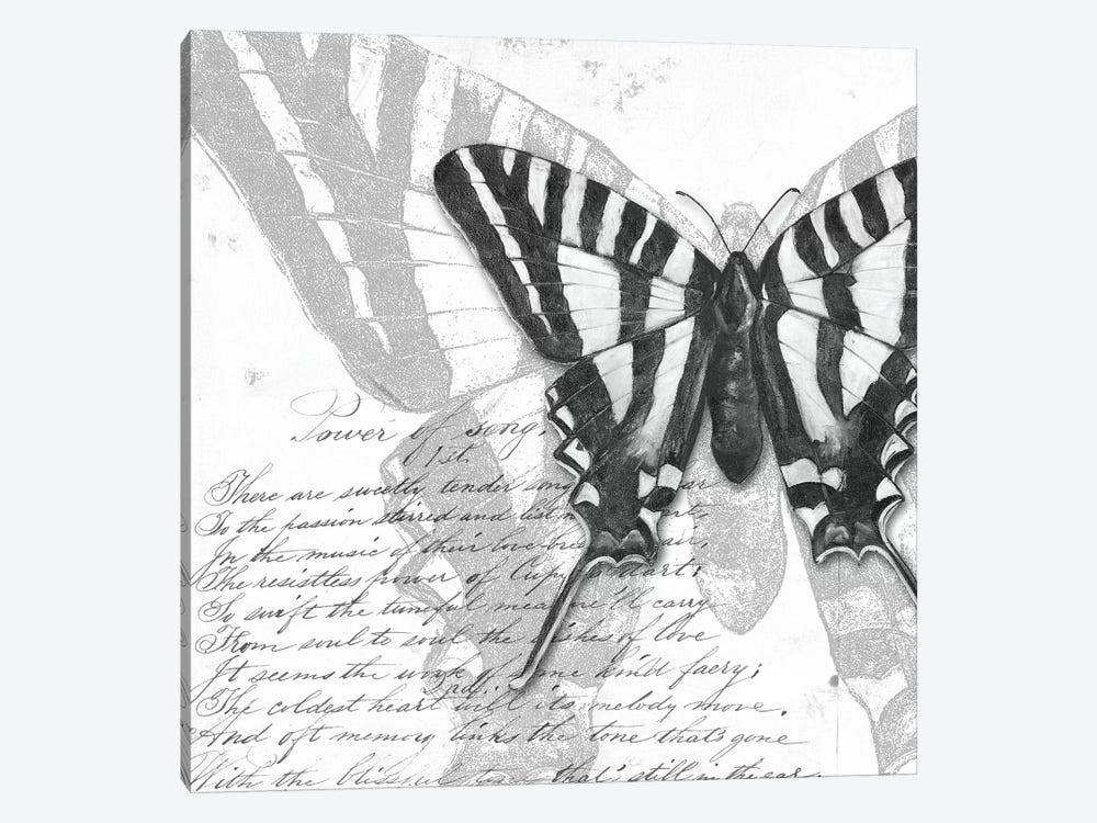 Butterflies Studies II by Patricia Pinto 1-piece Art Print