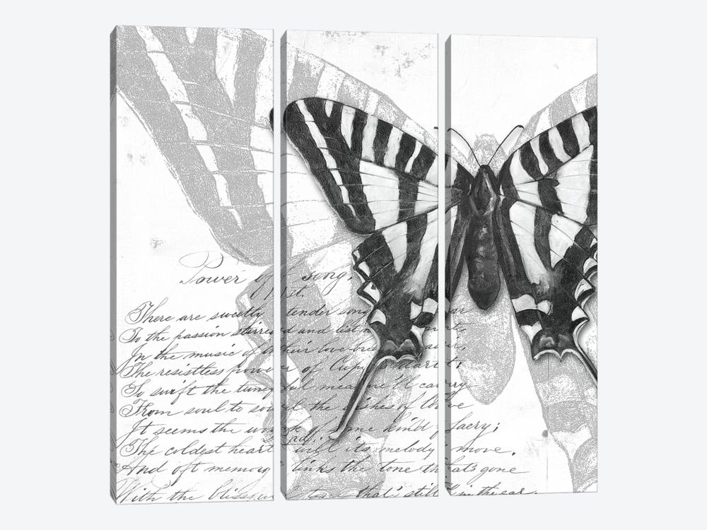 Butterflies Studies II by Patricia Pinto 3-piece Art Print