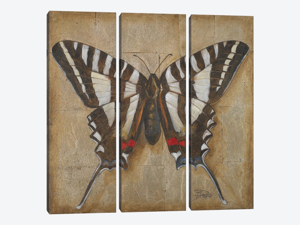Butterfly I by Patricia Pinto 3-piece Canvas Wall Art