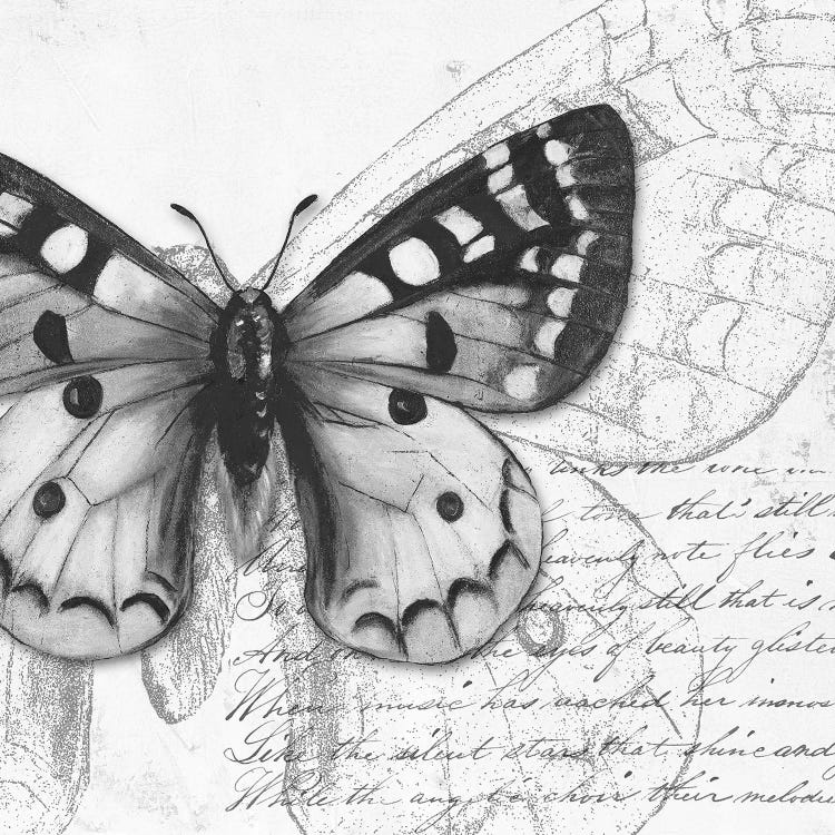 Butterfly Studies I