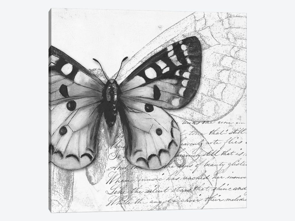 Butterfly Studies I by Patricia Pinto 1-piece Canvas Print