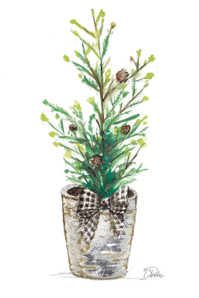 Patricia Pinto: Christmas Fir II by Patricia Pinto