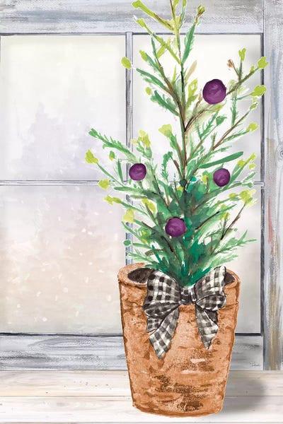 Christmas Fir On Window by Patricia Pinto framed wall art