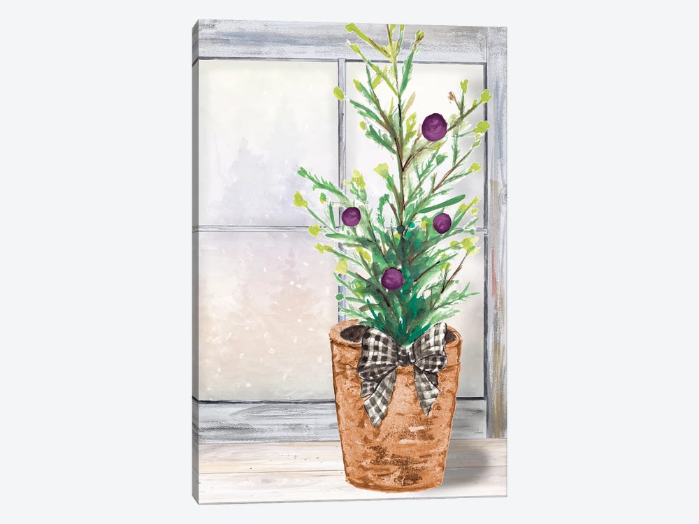 Christmas Fir On Window by Patricia Pinto 1-piece Canvas Print